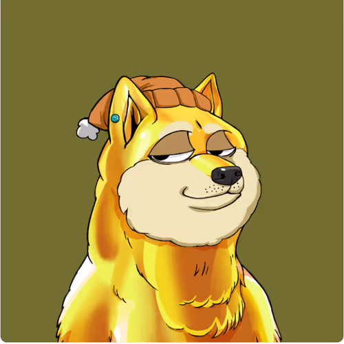 Doge Club