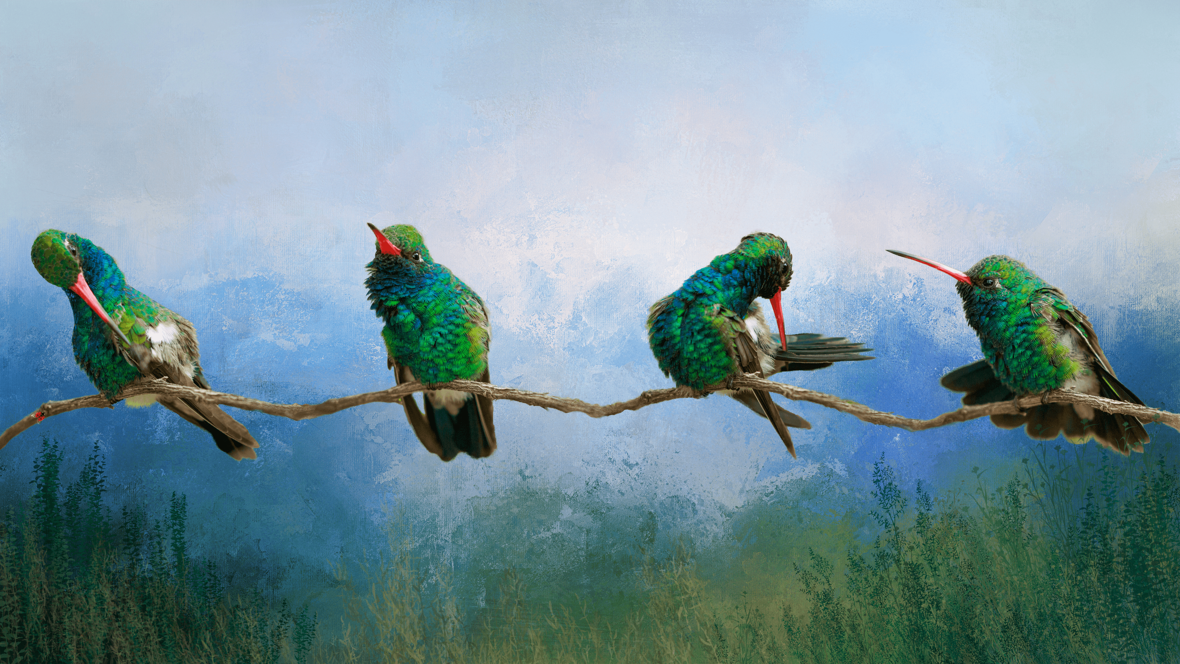 Hummingbird - Wings in Time Collection