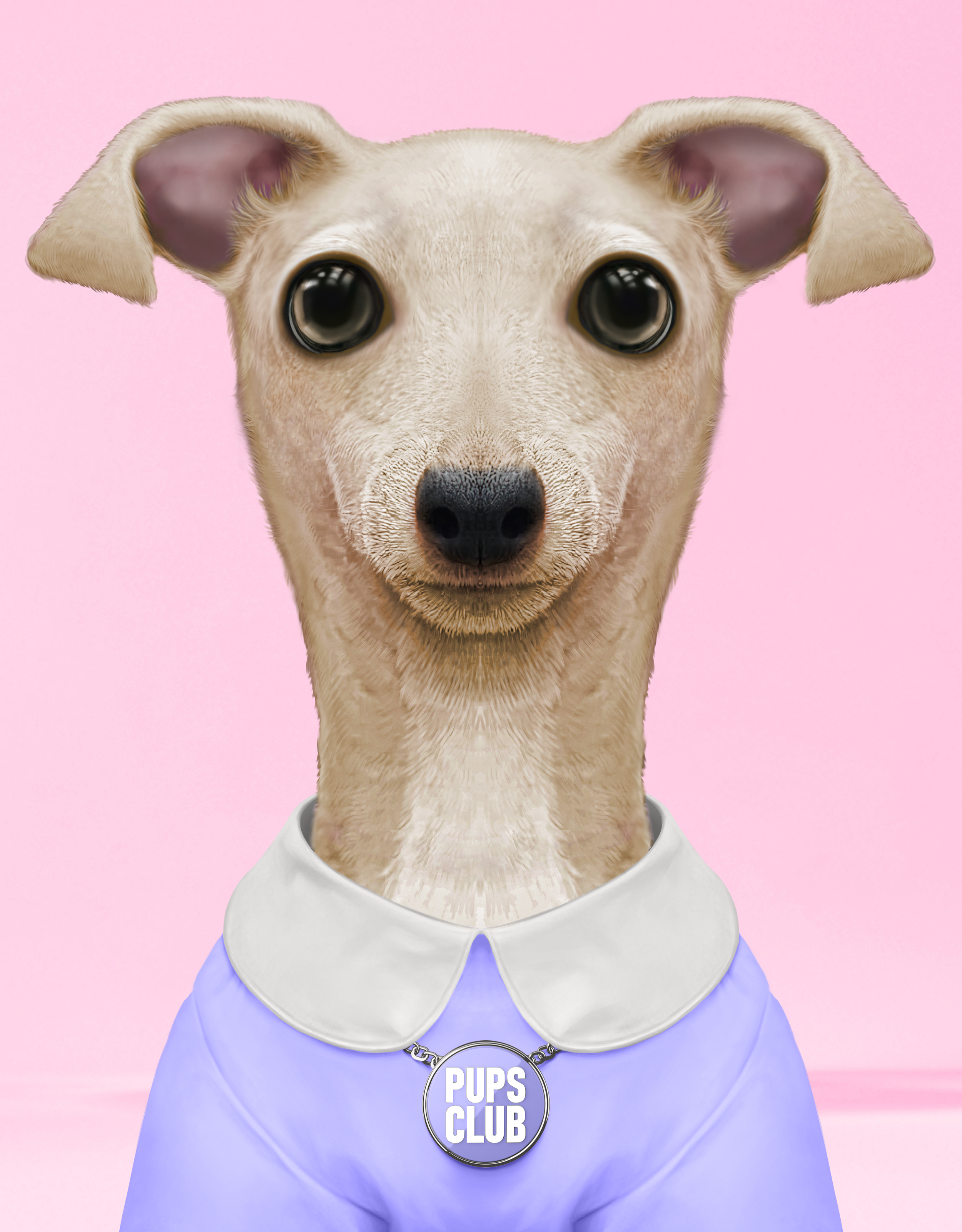 Pup #8361