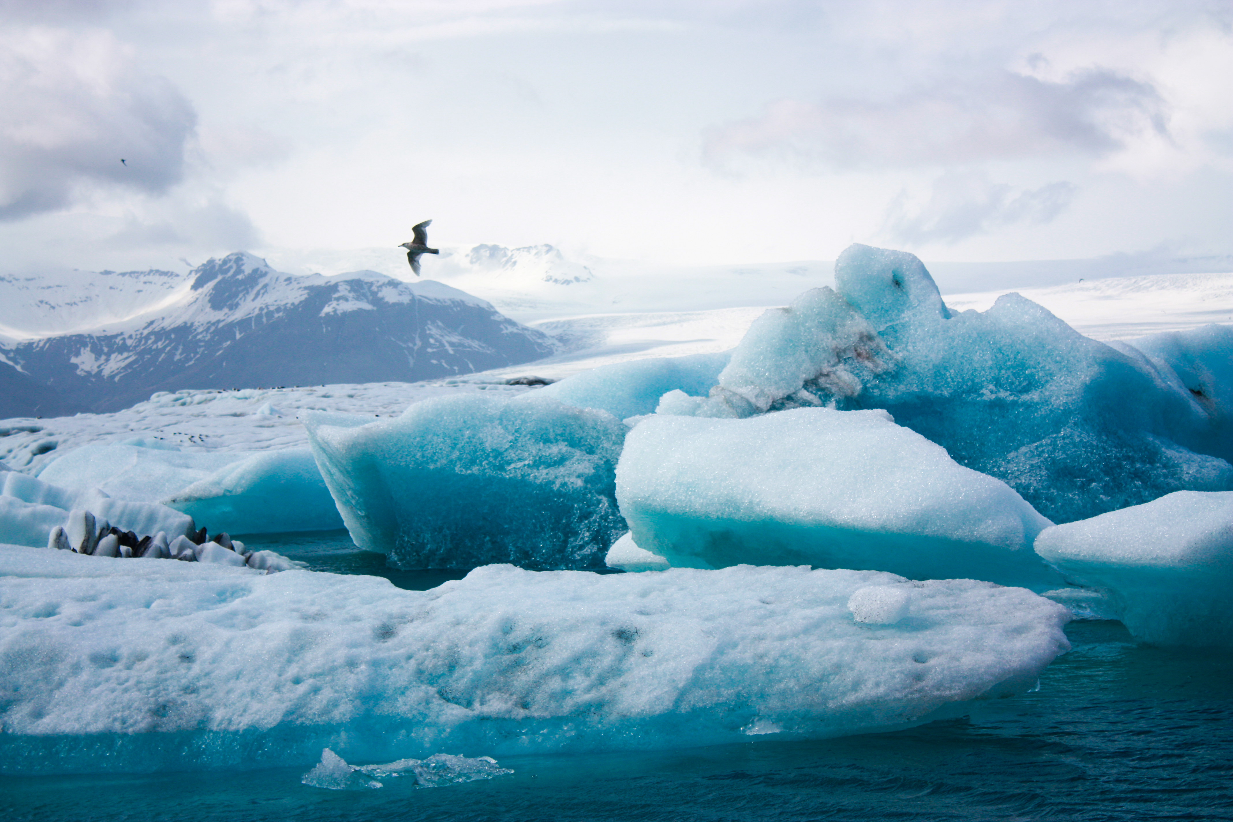 There is ice in Iceland