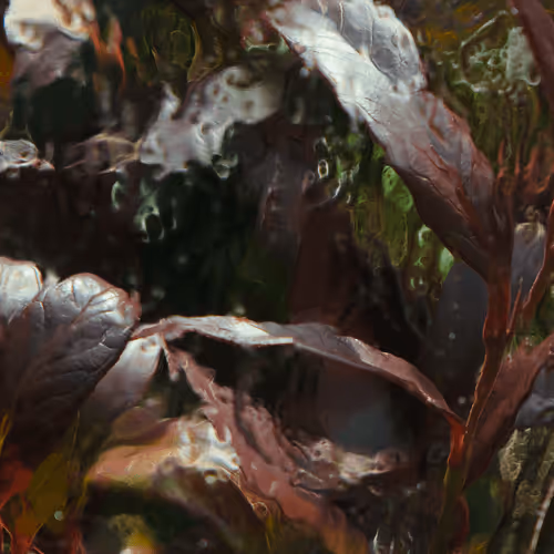 behind ice #13