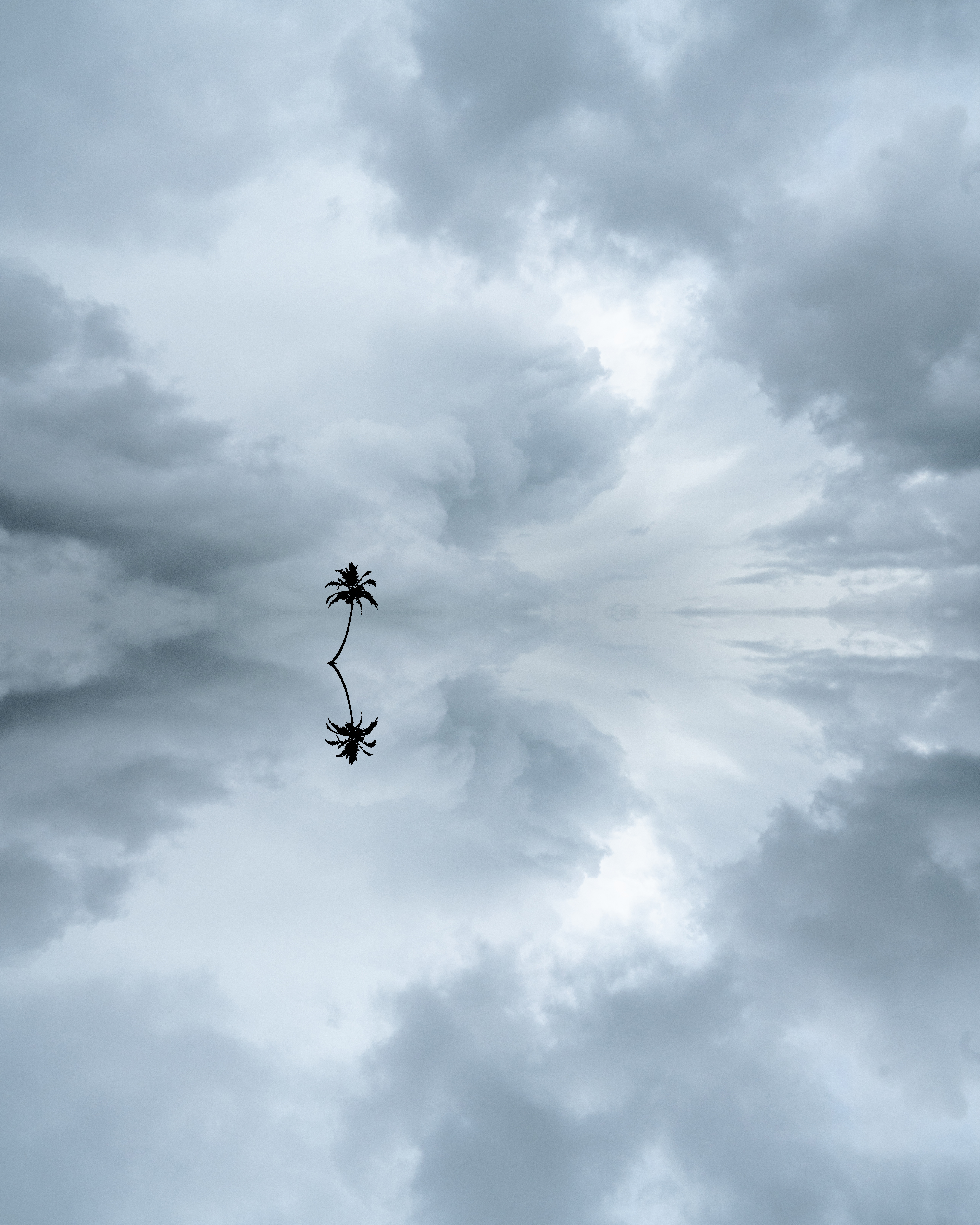 Mirrored X Chad Torkelsen