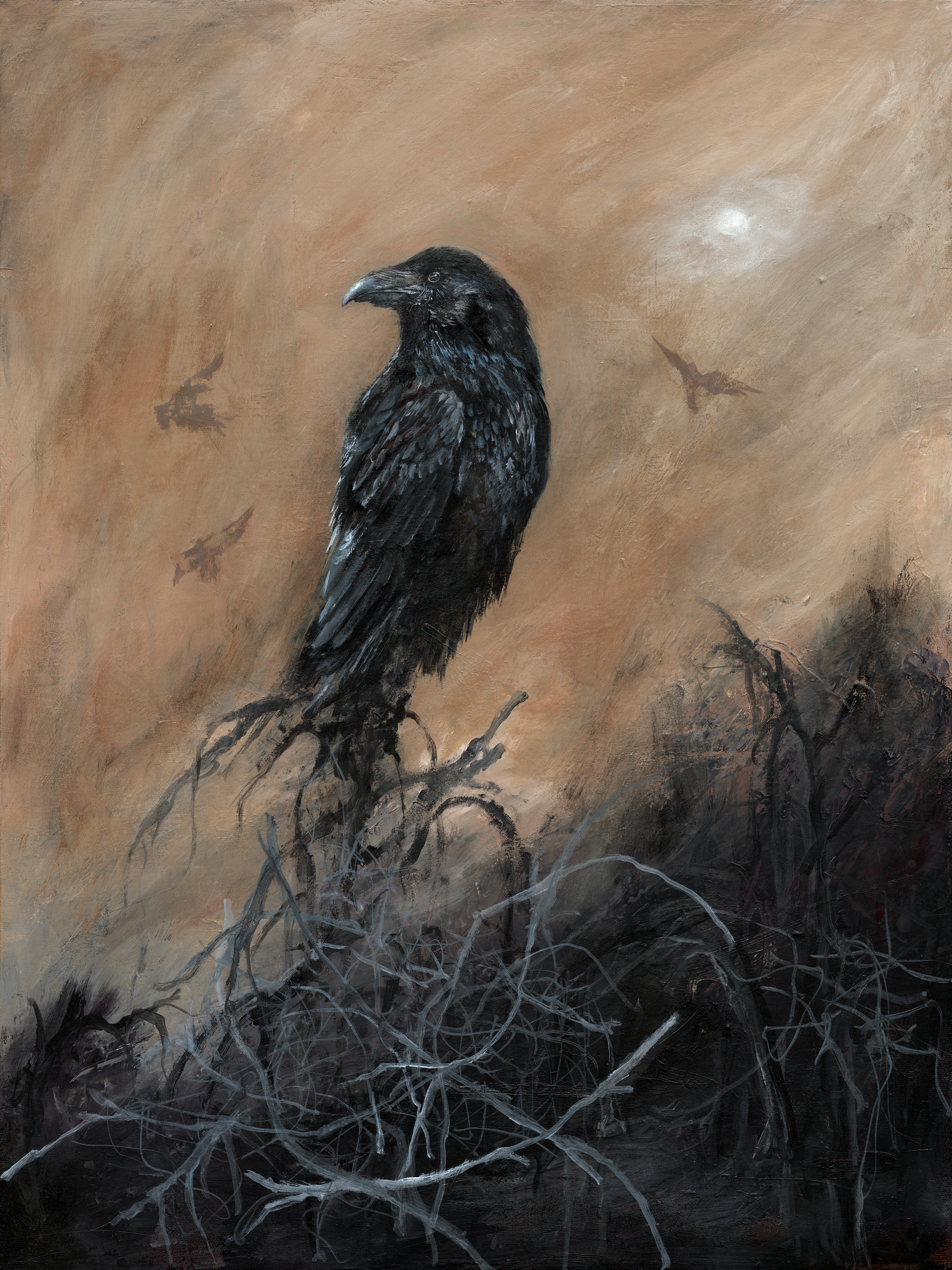 Raven's Nest