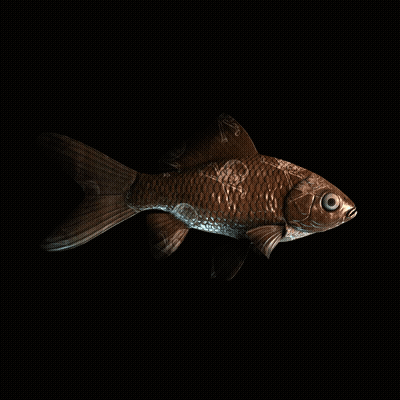 CryptoFish #2299
