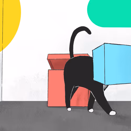 Boxcat Outta Box