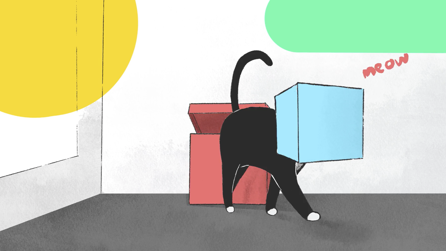 Boxcat Outta Box