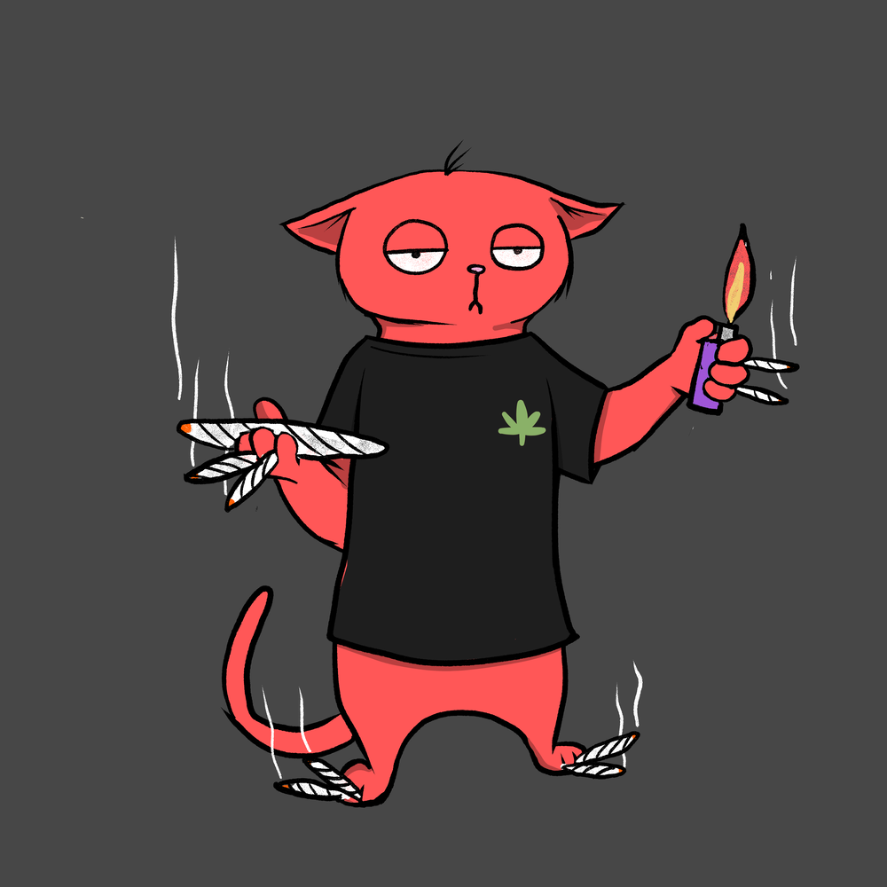 Blazed Cat #1744