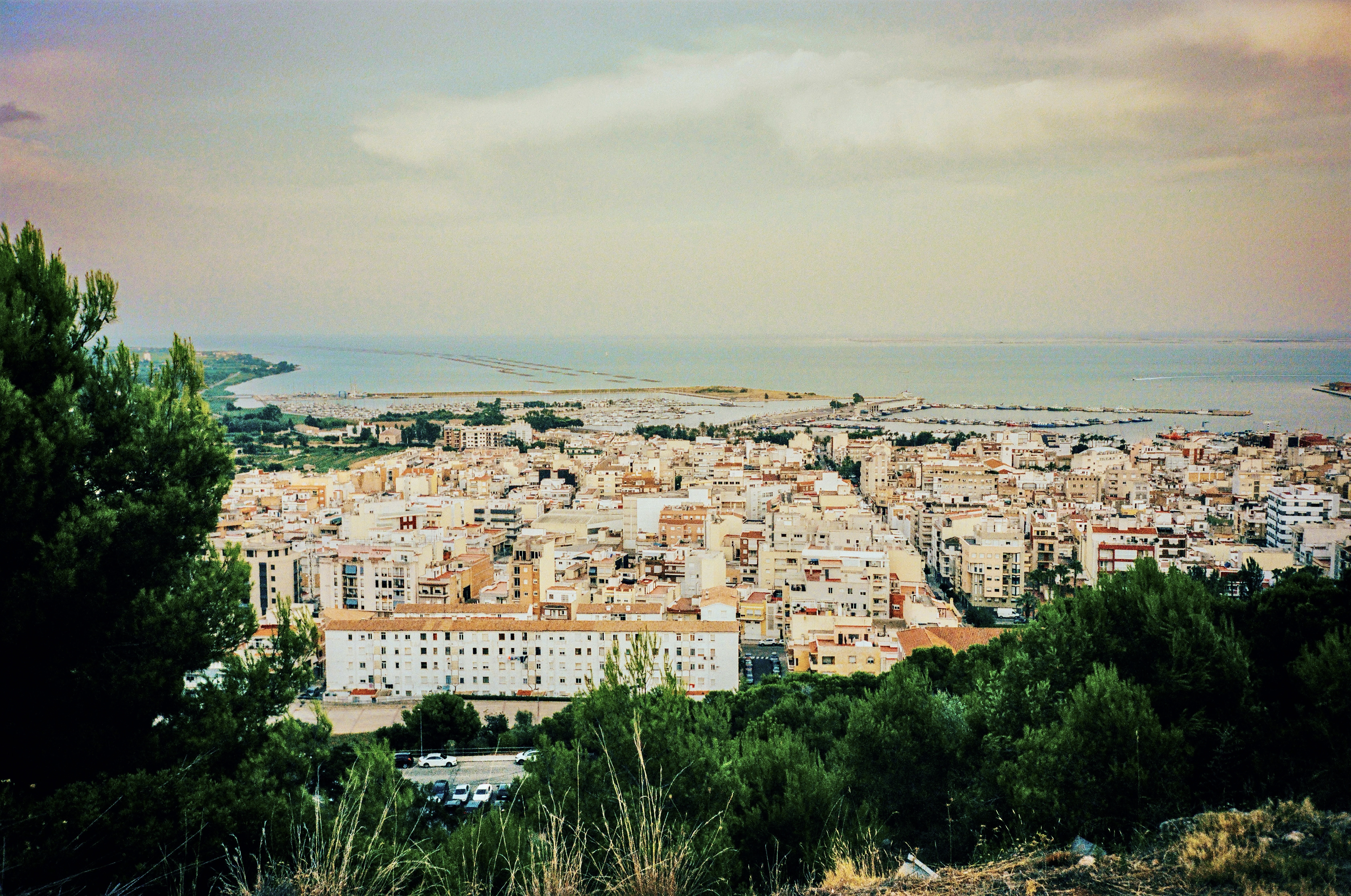 The view