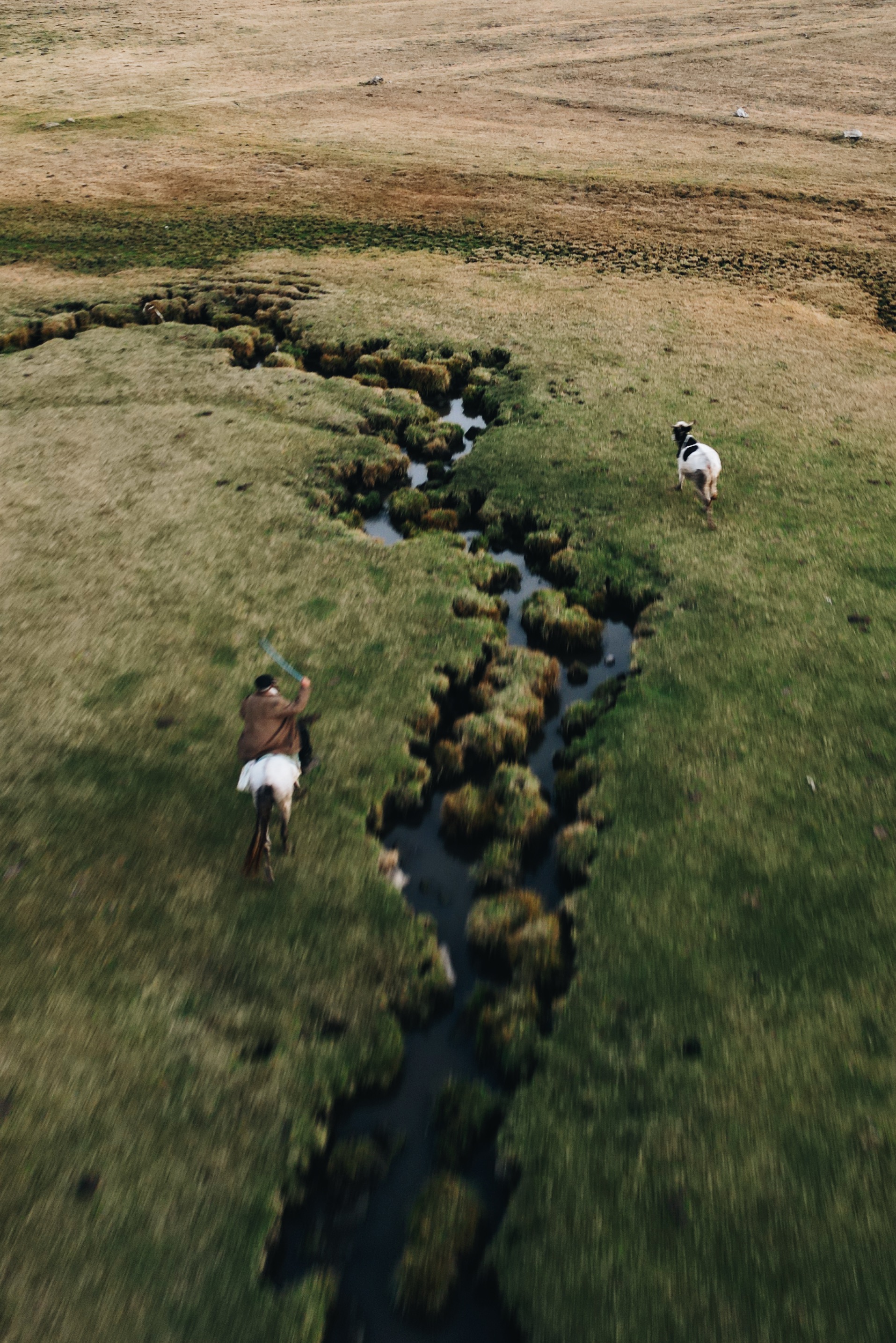 Nomadland