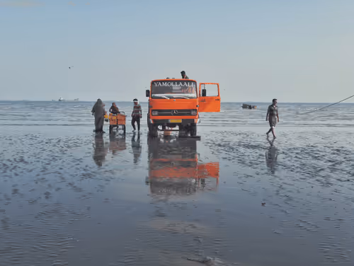 Last Beach #14