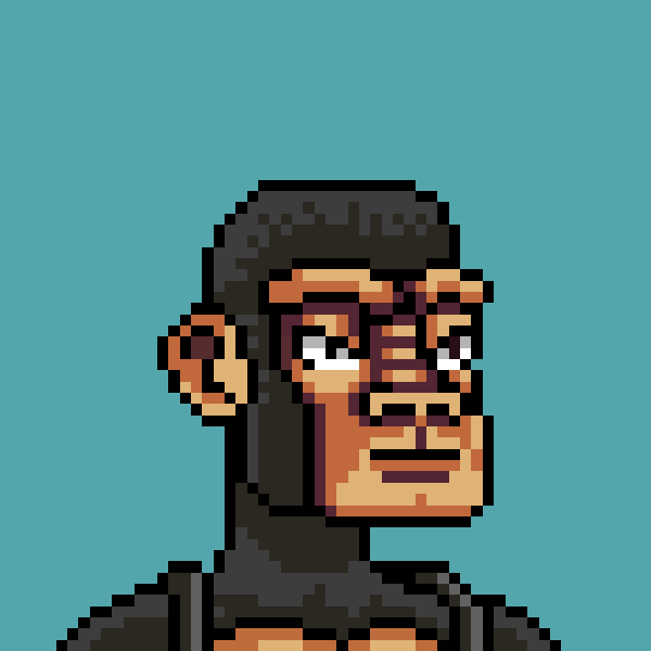 Monkey Republic #943