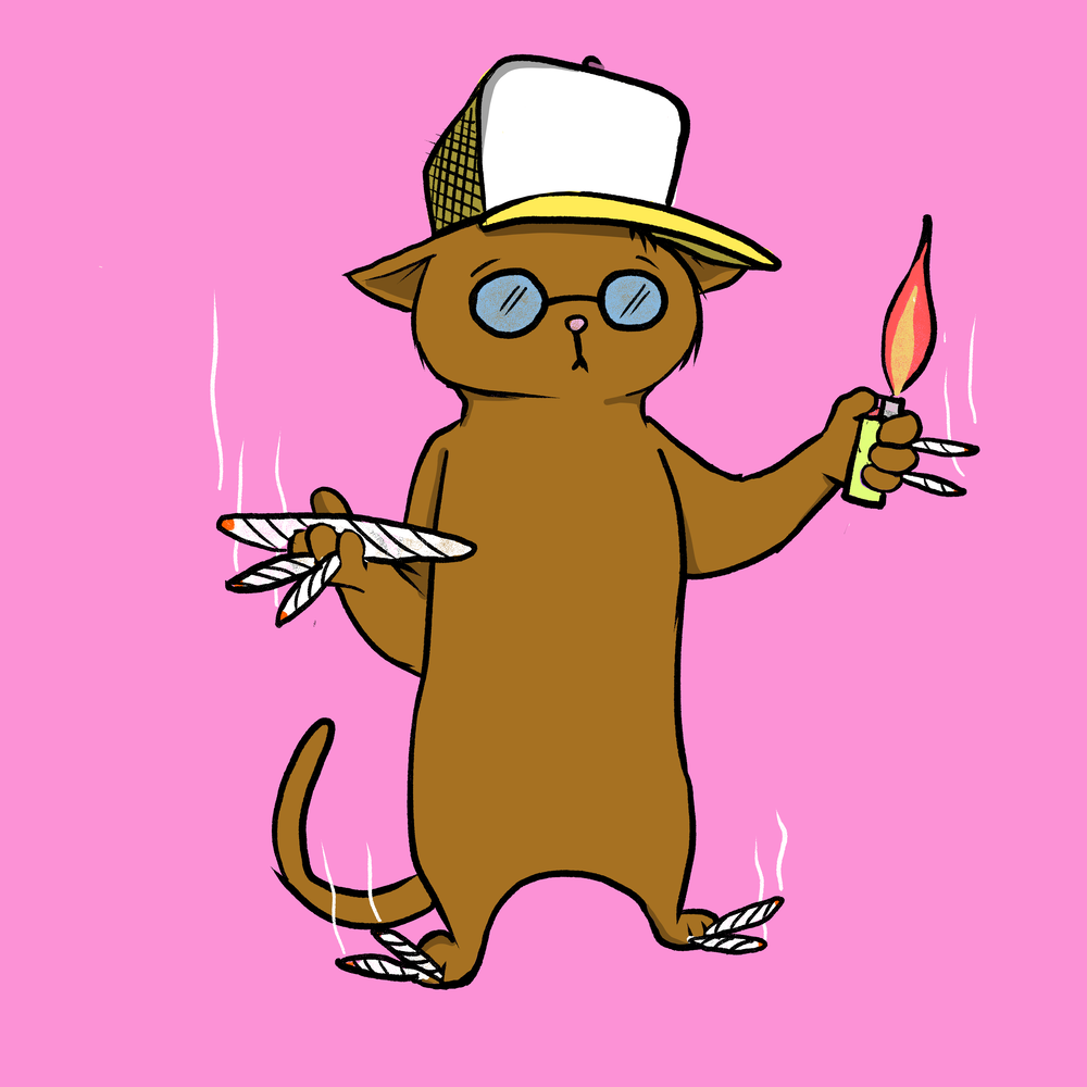 Blazed Cat #7511