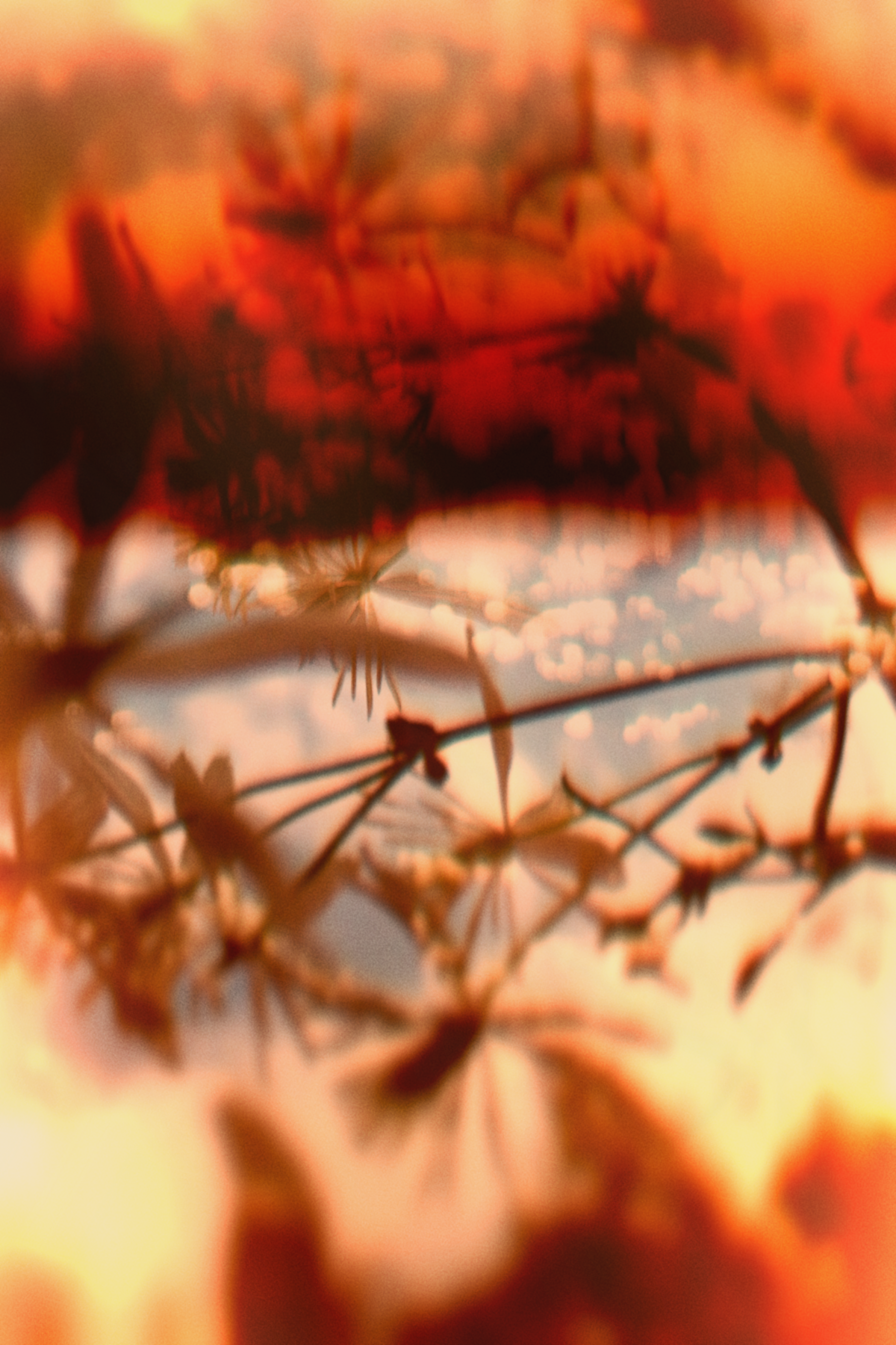 Diaries #14