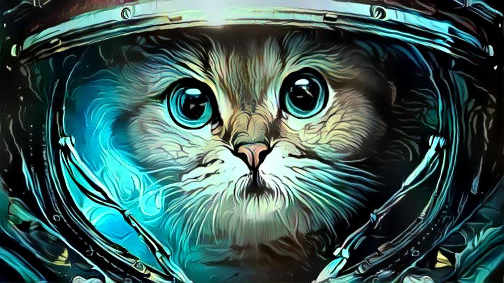 Cryptokitties In Space