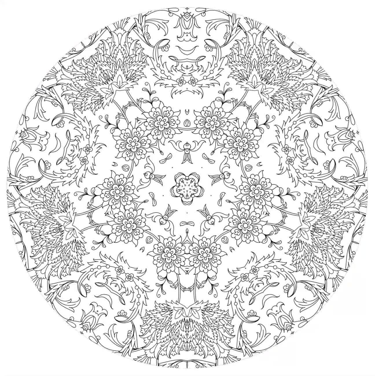 Generascope Infinity S1 #4