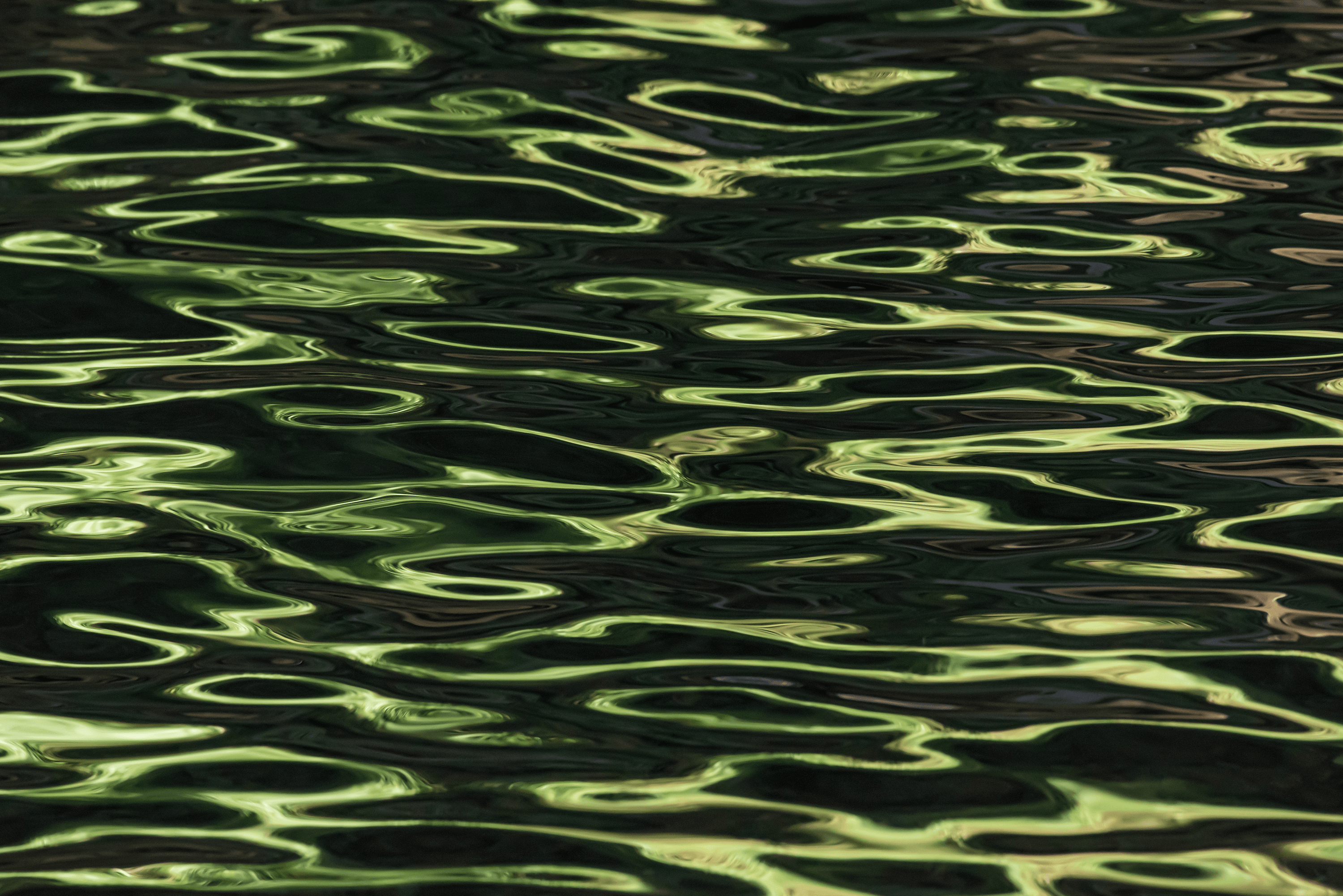Ebb and Flow #85