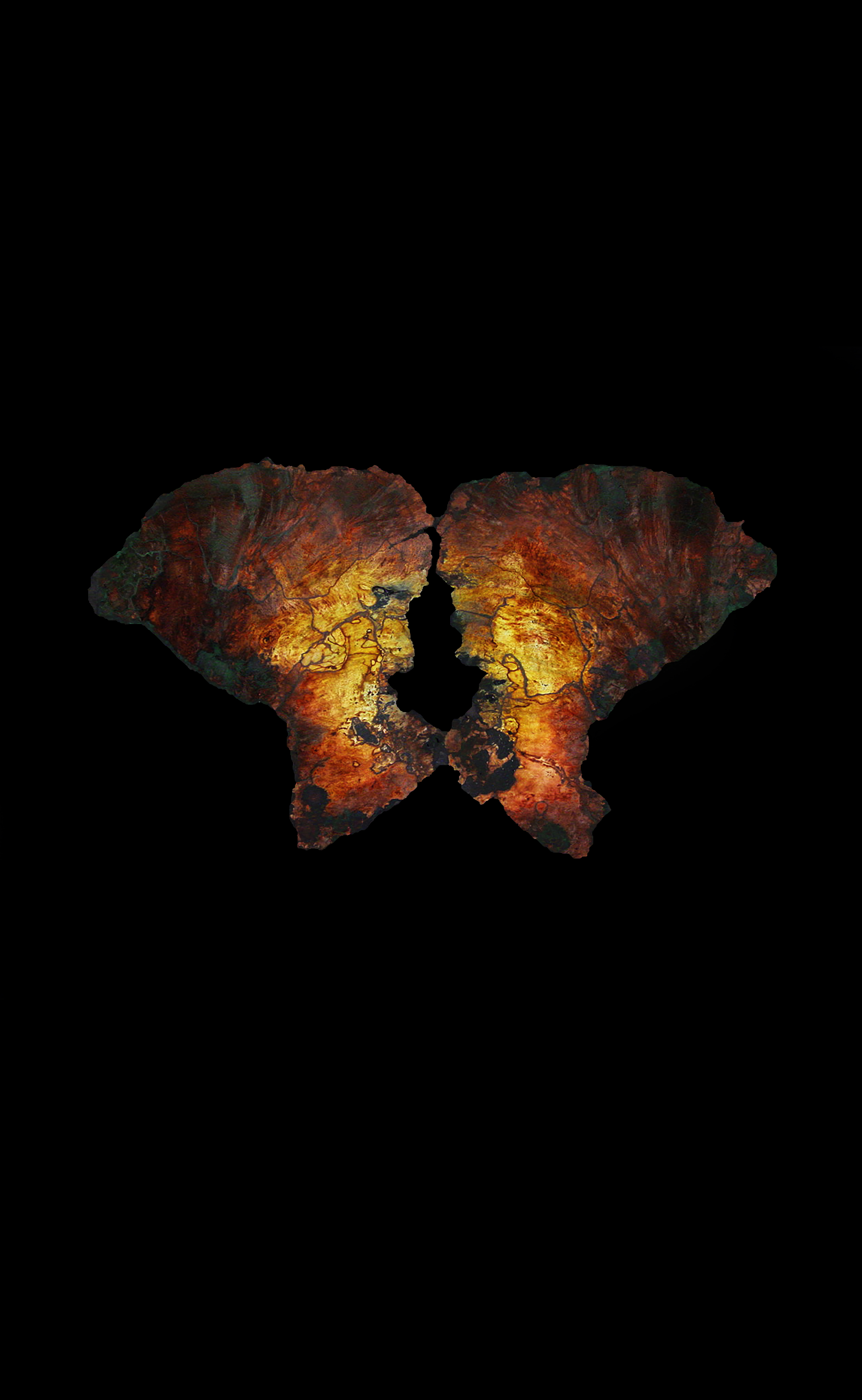 Wings