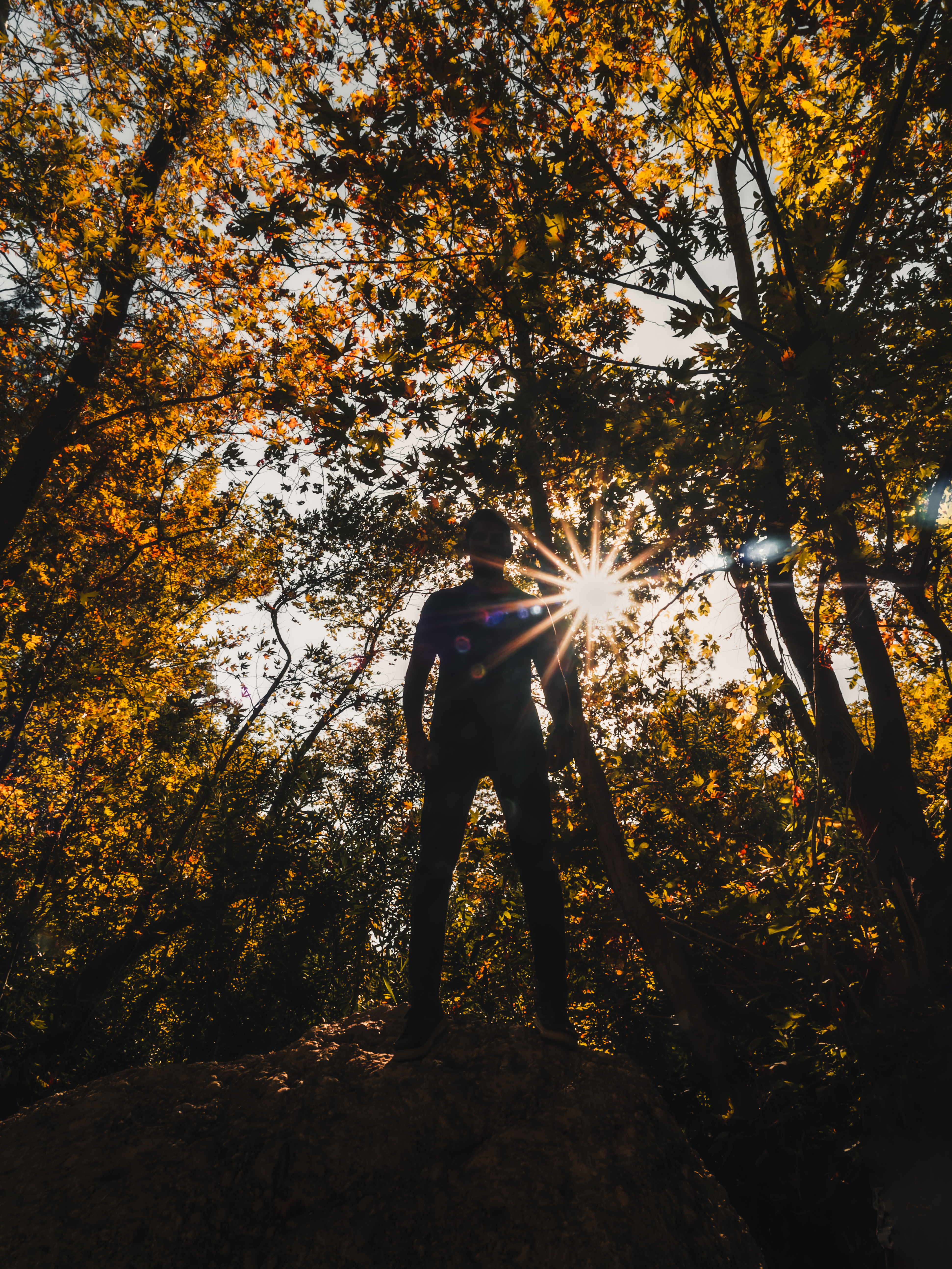 Leafman