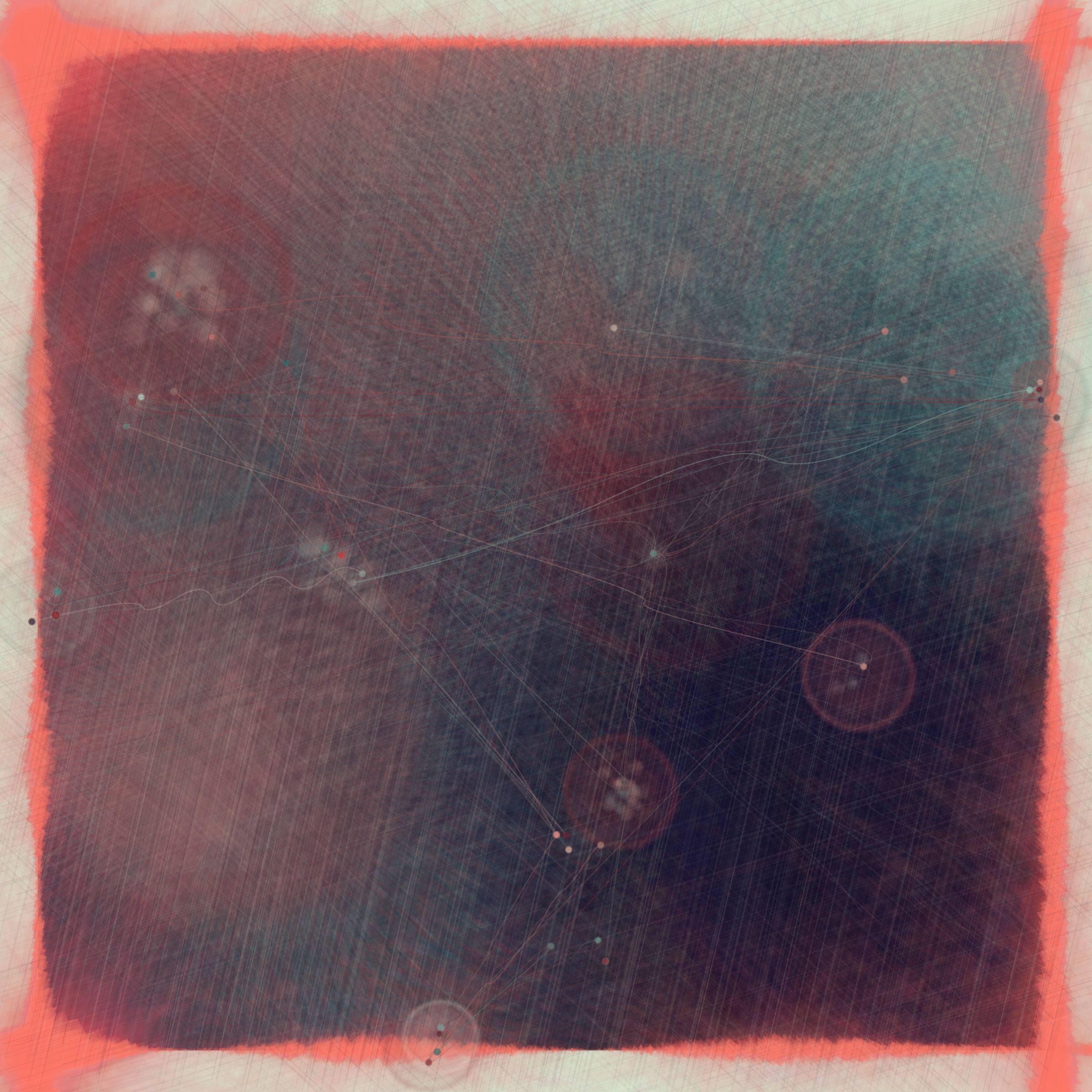 Reticulum