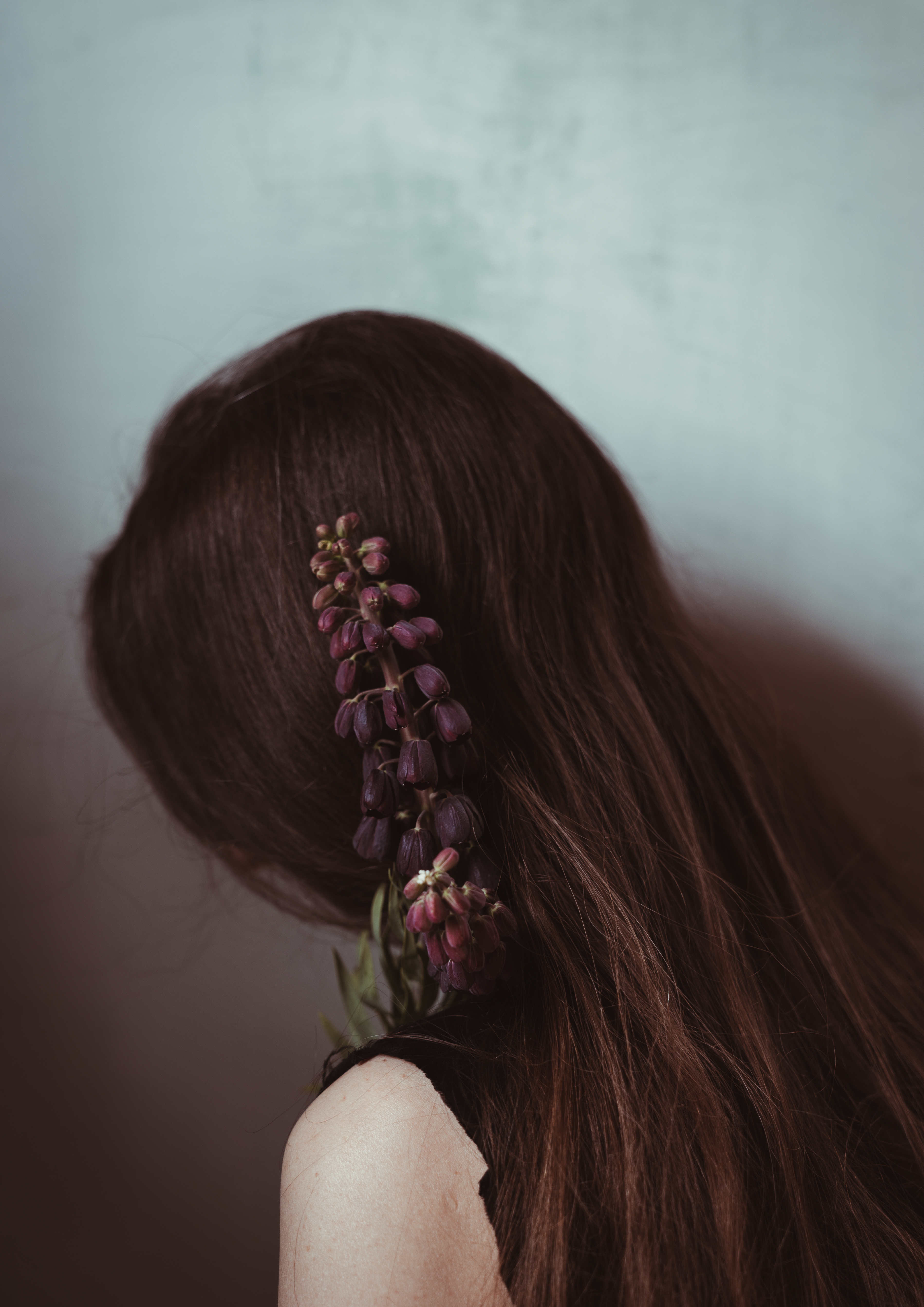 Fritillaria Portrait II