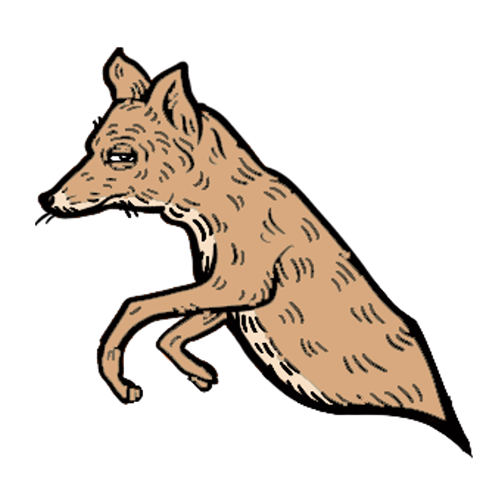 Fox