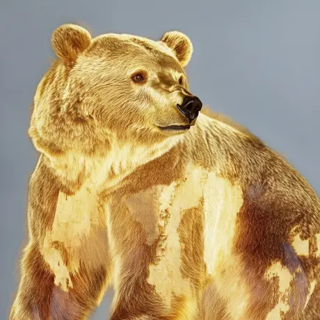 bear #4262