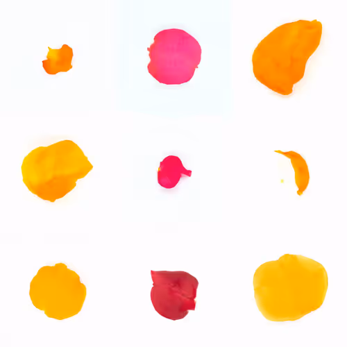 Infinite Petals 3x3#3264