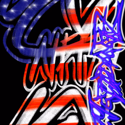 U.S.A.