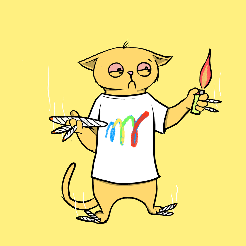 Blazed Cat #9542