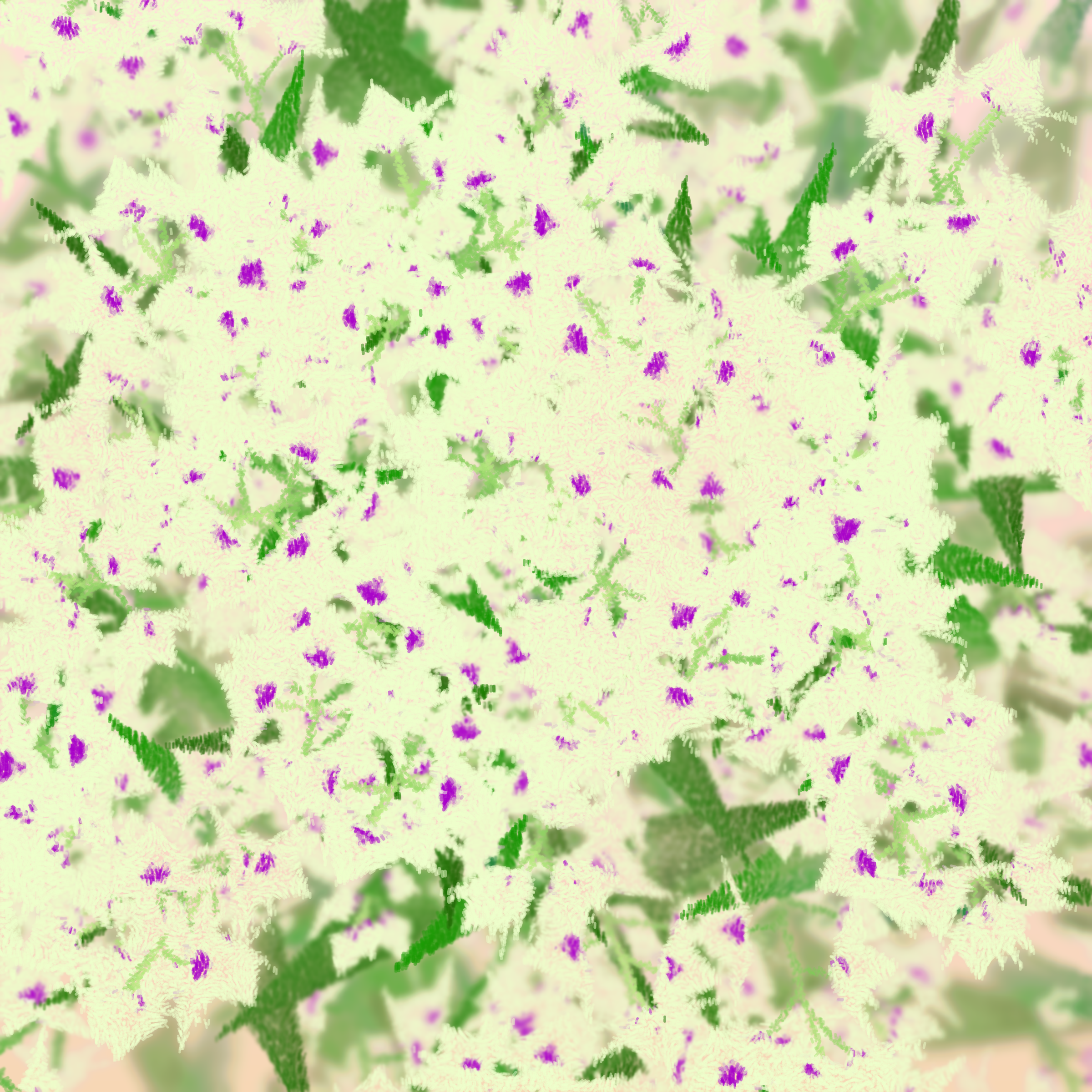 Cattleya #47