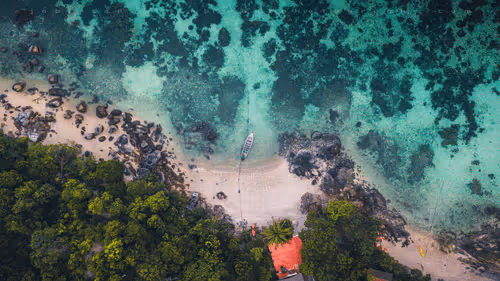 Tropical Vibes #36 ( Lost in paradise )