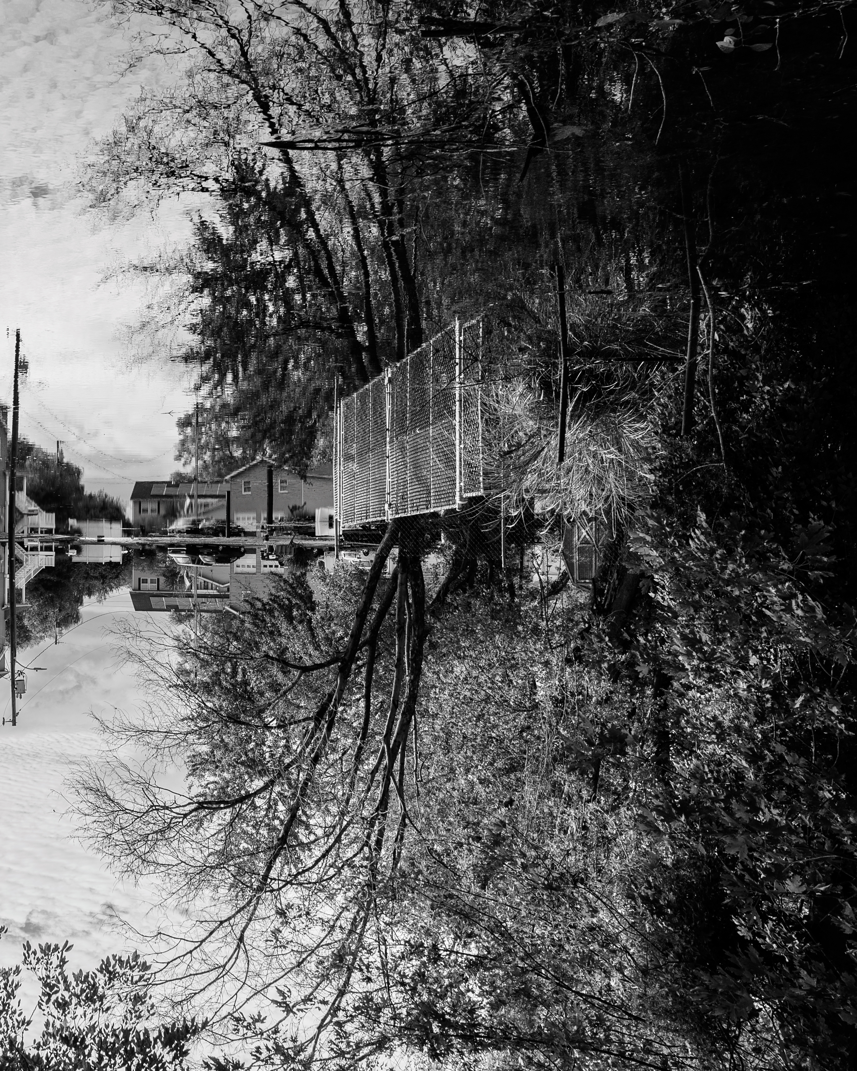 Laws of Reflection