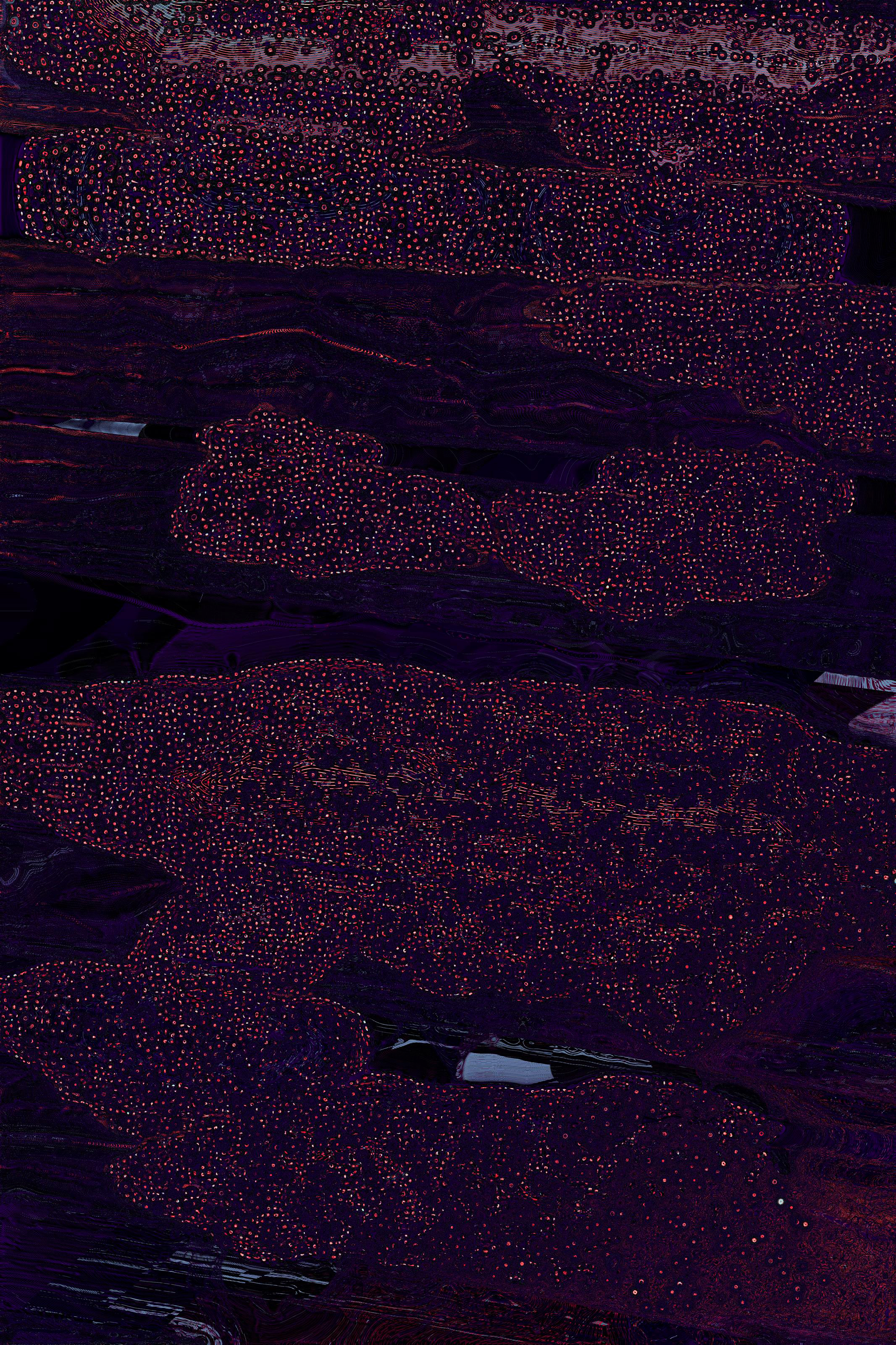 Dactylogram #40