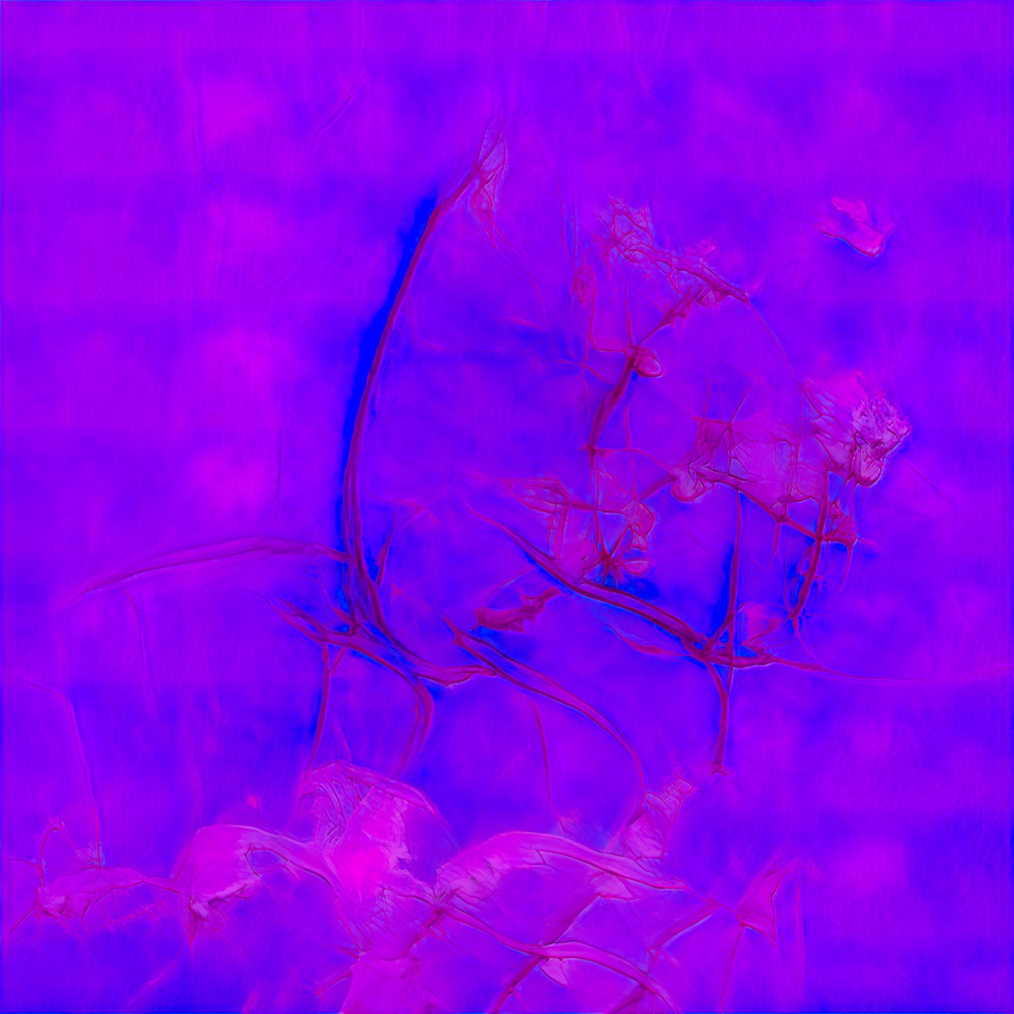 Emergent Finale 00211