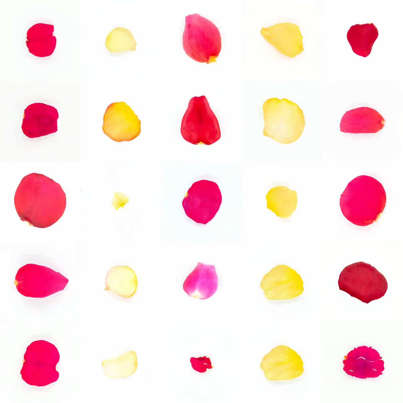 Infinite Petals 5x5#4