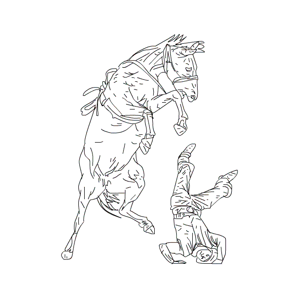 BRONCO - IV