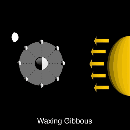 Waxing Gibbous