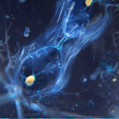 Amniotic Mitosis Chamber [SE]