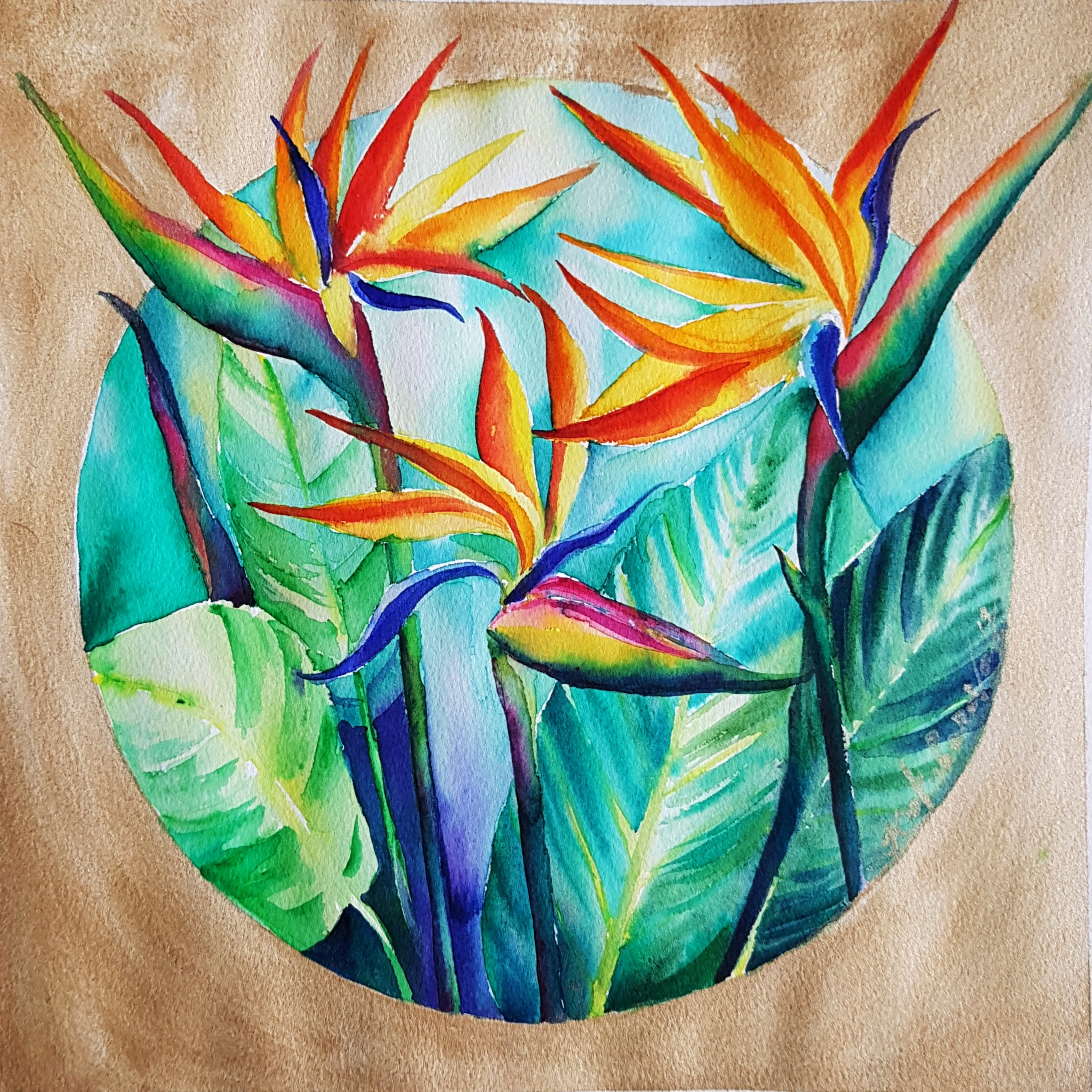 Strelitzia