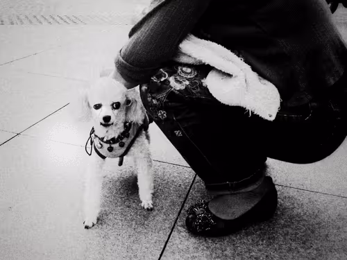 BWChina #54