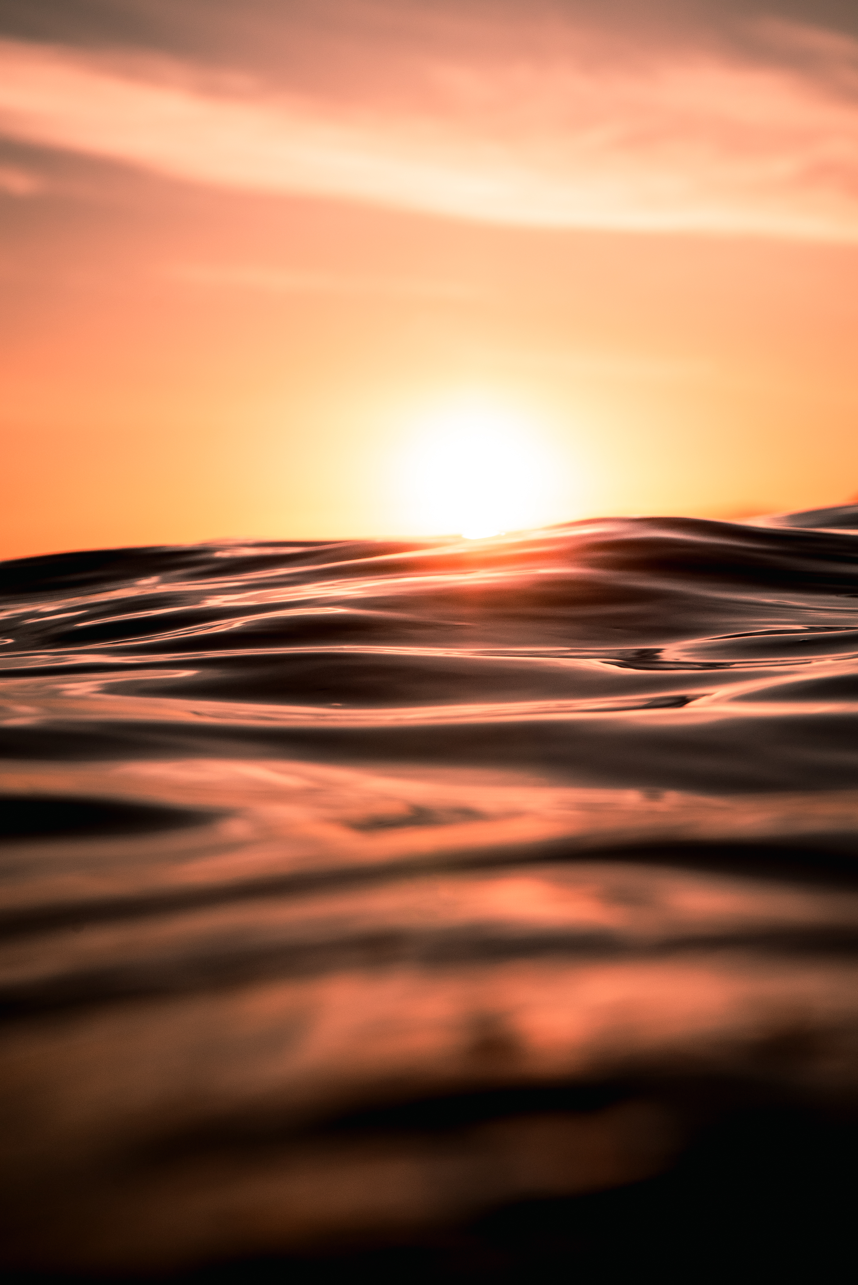Obsidian Ocean
