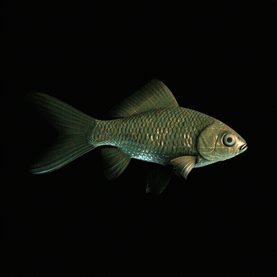 CryptoFish #1612