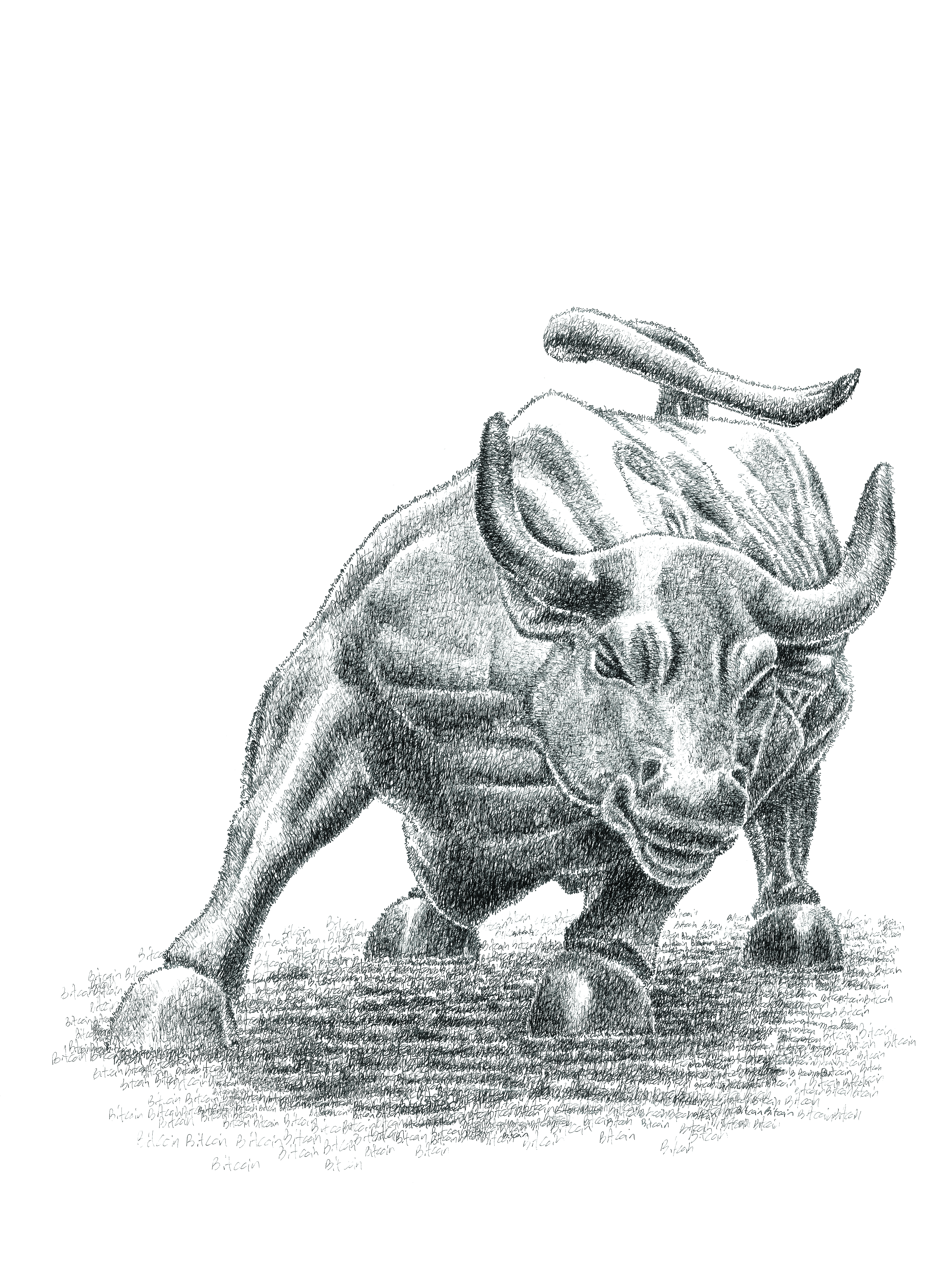Bitcoin Bull - 2/100