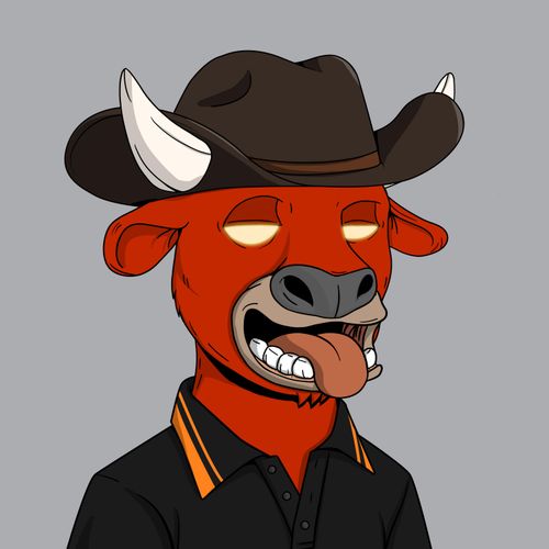 Cool Bulls #38