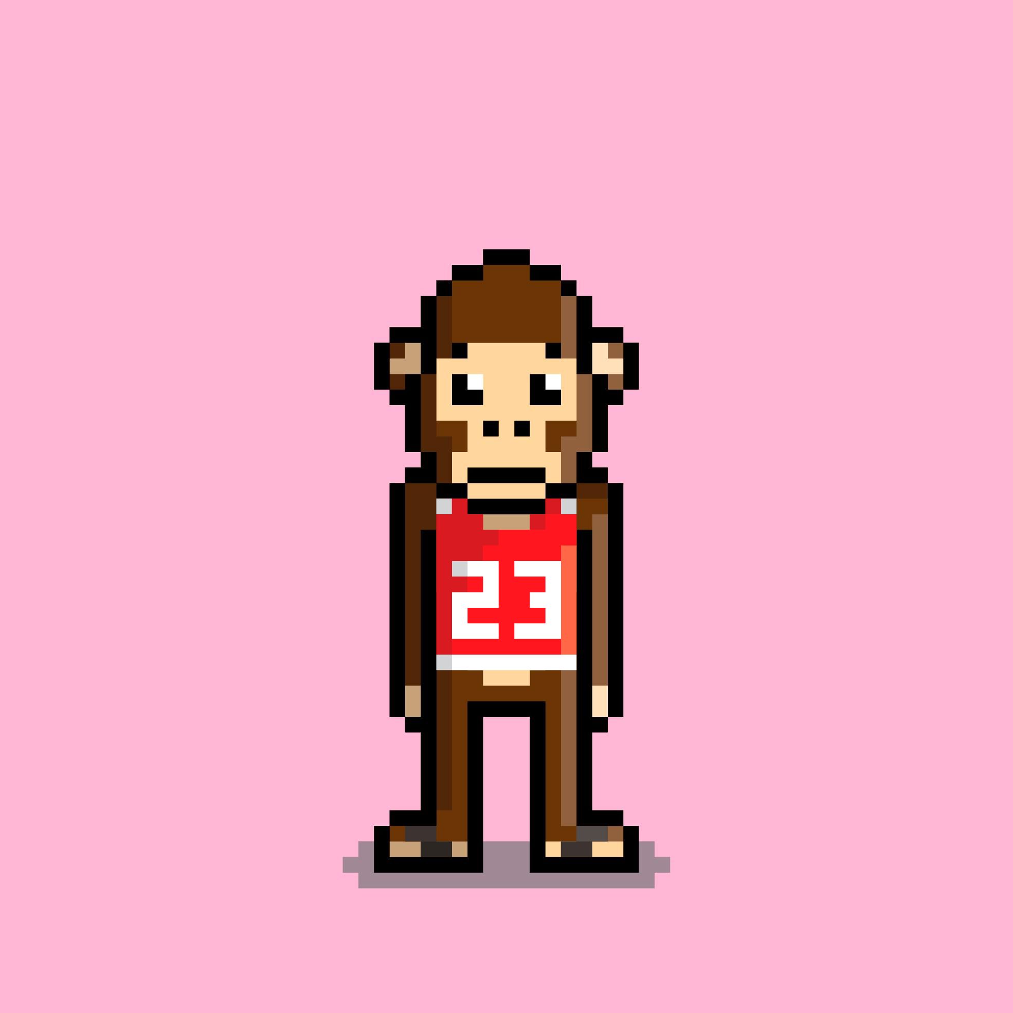 OMNIS[💾] #5644