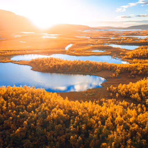 Wilderness to Blockchain #32 - Above the treeline
