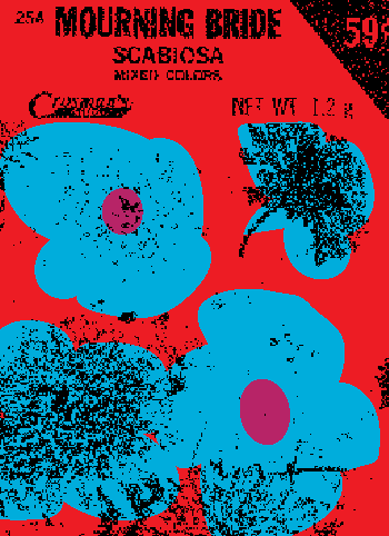 SEEDS #363