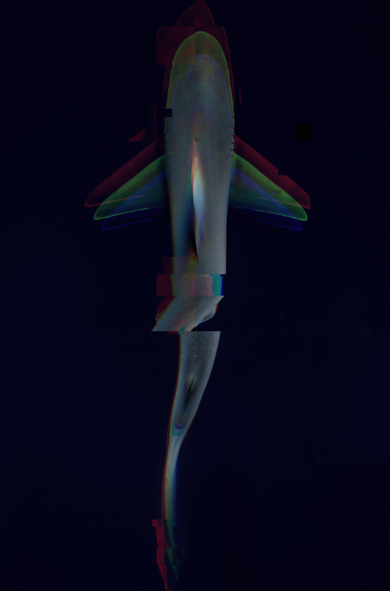 Glitch 1