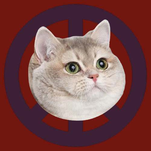 War, peace, and cat #520