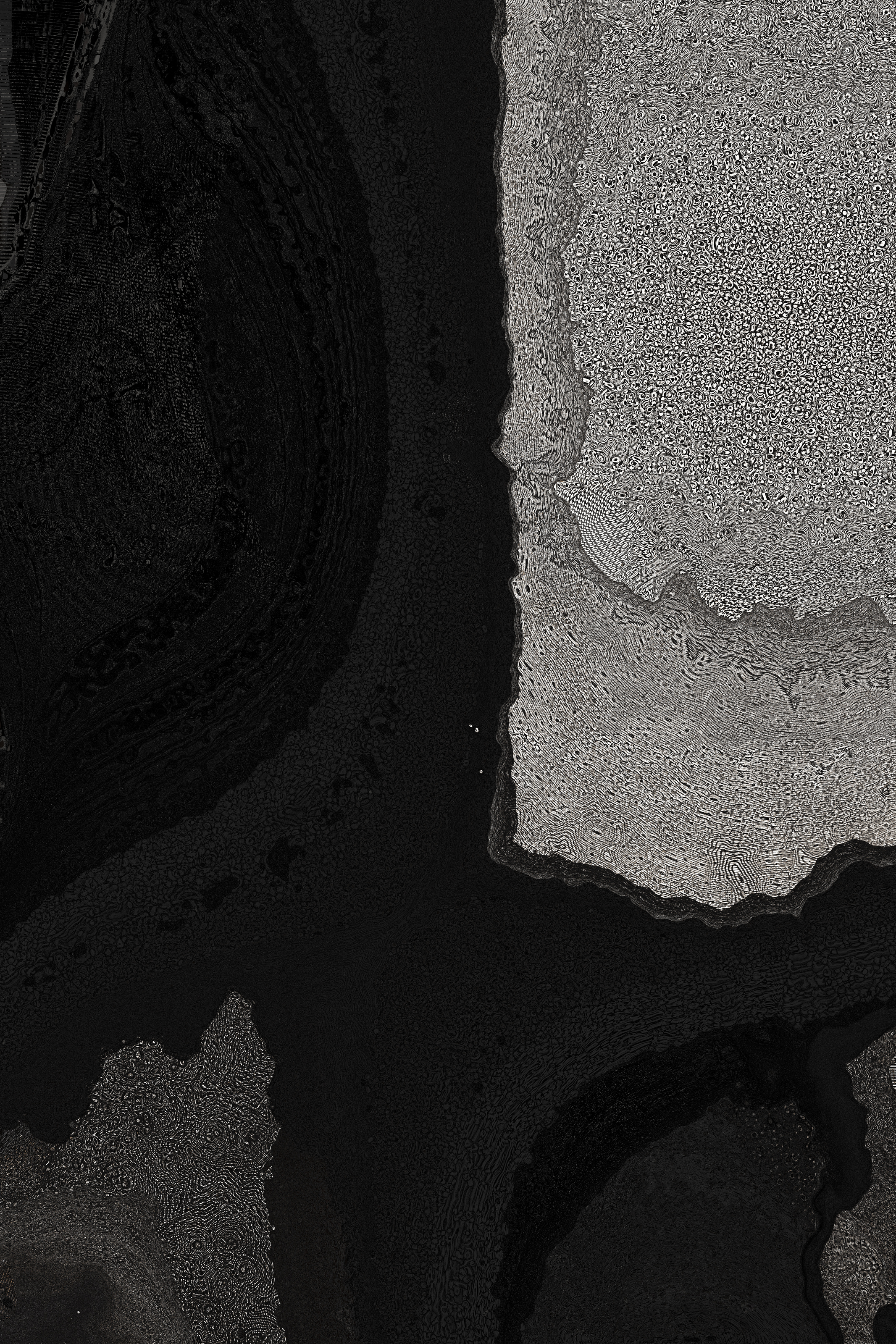 Dactylogram #65